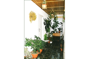 Ģimenes viesu māja Bran 1